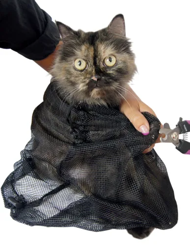 Bolsa malla gatos