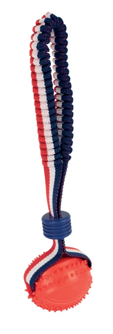 Lanzador Elástico con pelota - 7 x 24 cm