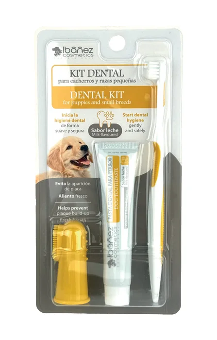 Kit dental Mini