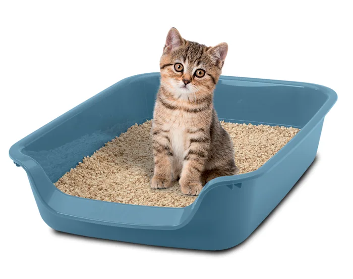 Bandeja WC Junior Toilet - 56 x 39 x 13 cm