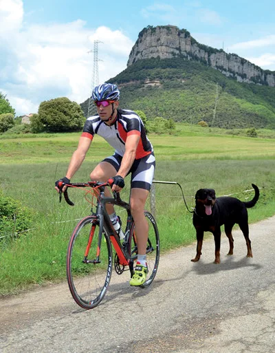 DogCycle